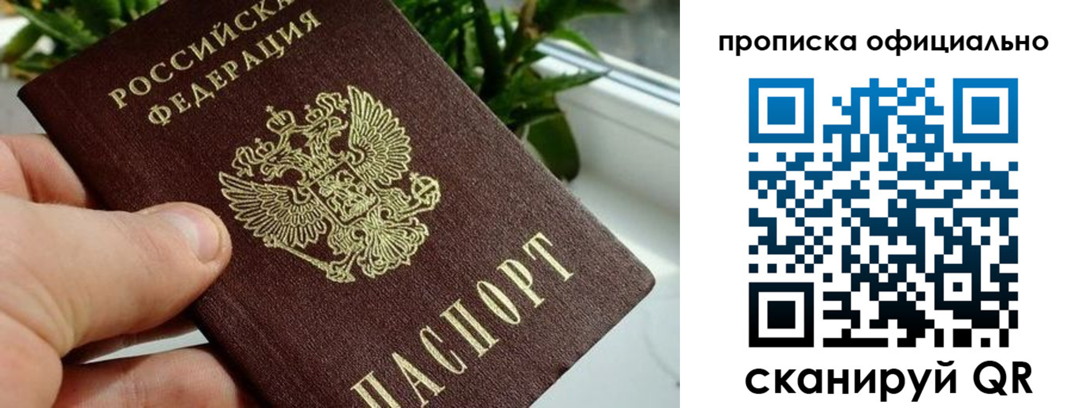 прописка поиск в Губкинском